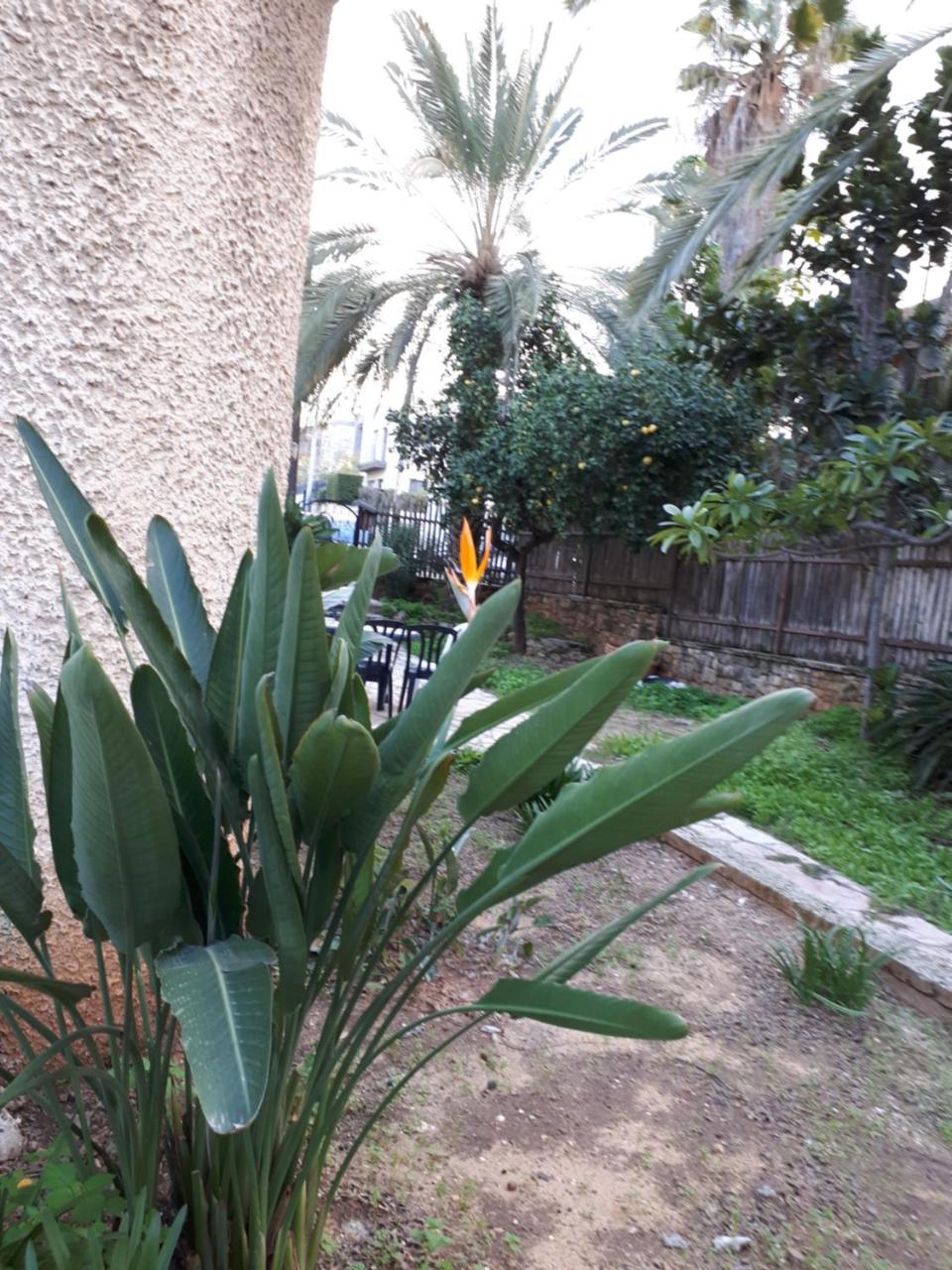 Hotel Etty'S House Petach Tikva Zewnętrze zdjęcie